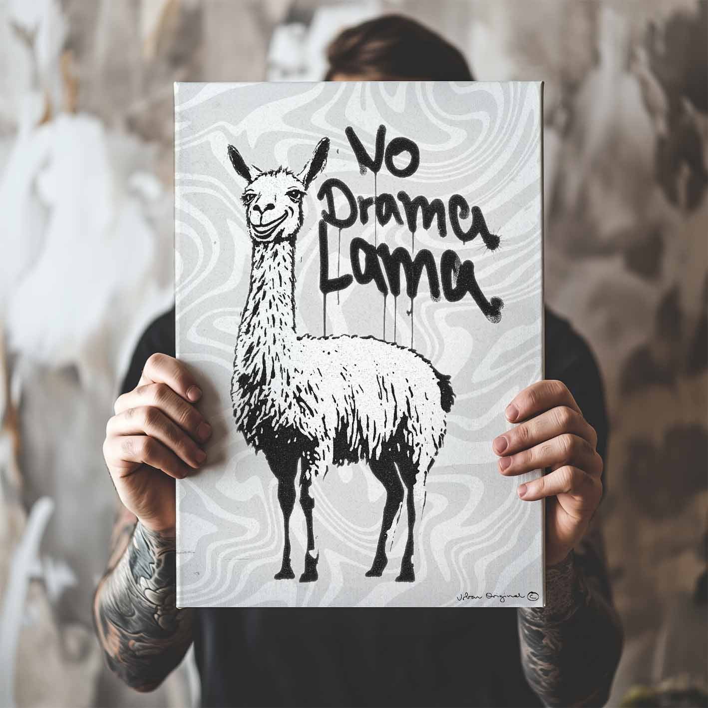 NO DRAMA LAMA