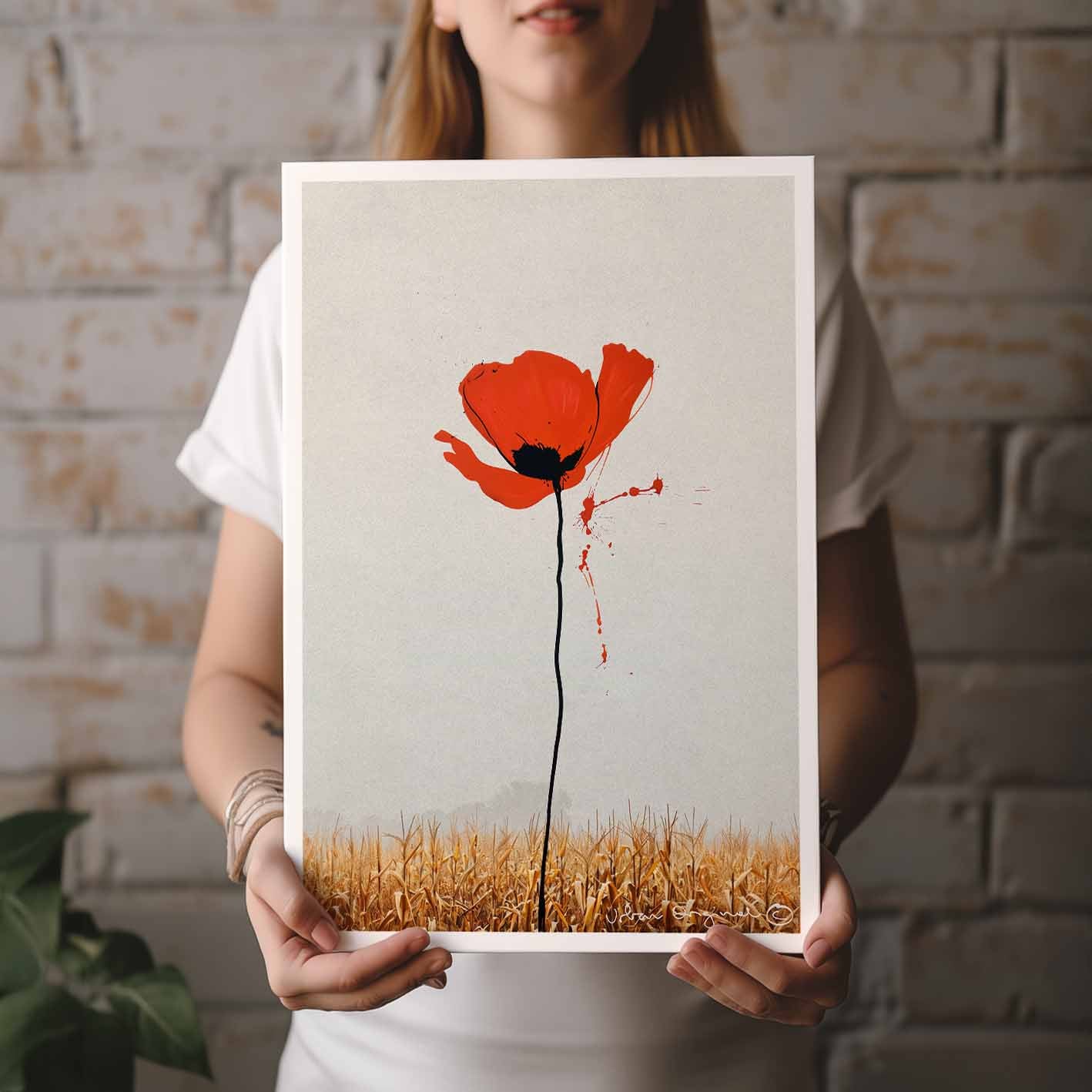 Poppy Dream