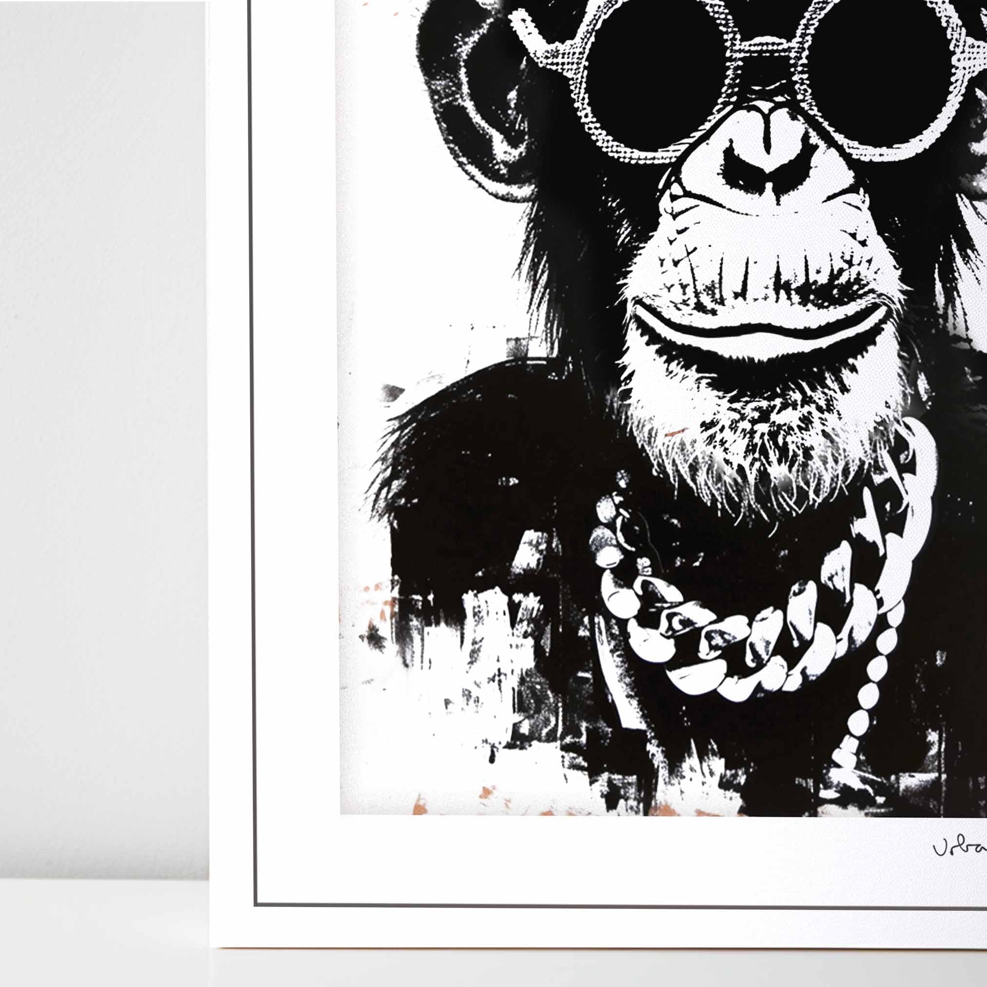 Fashion Chimp