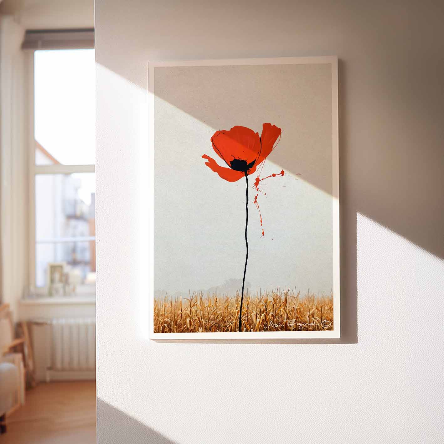 Poppy Dream
