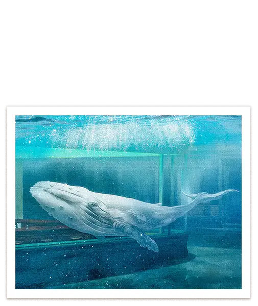 #A4 = 28x20 cm_exclude-this-tag