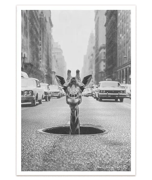 #A4 = 28x20 cm_exclude-this-tag