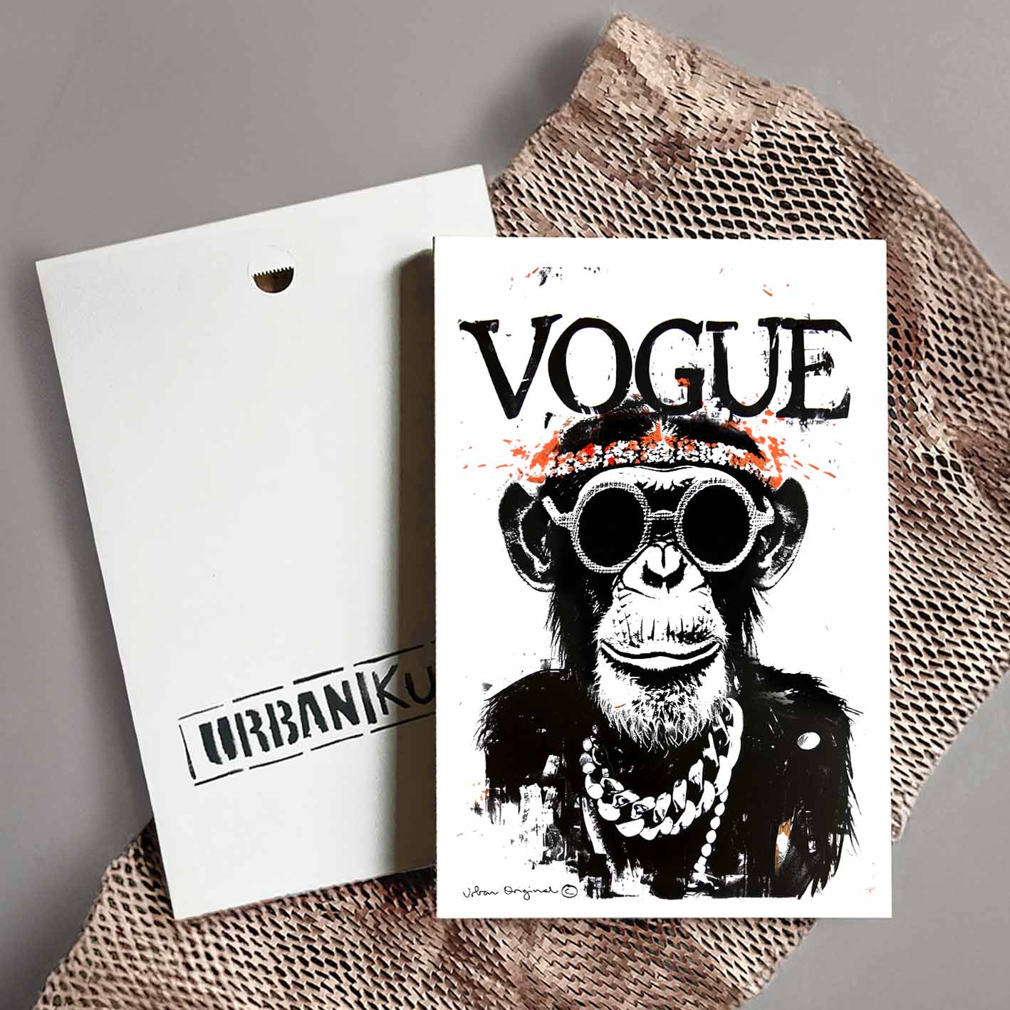Fashion Chimp