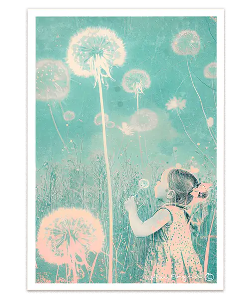 Dandelion Dreams