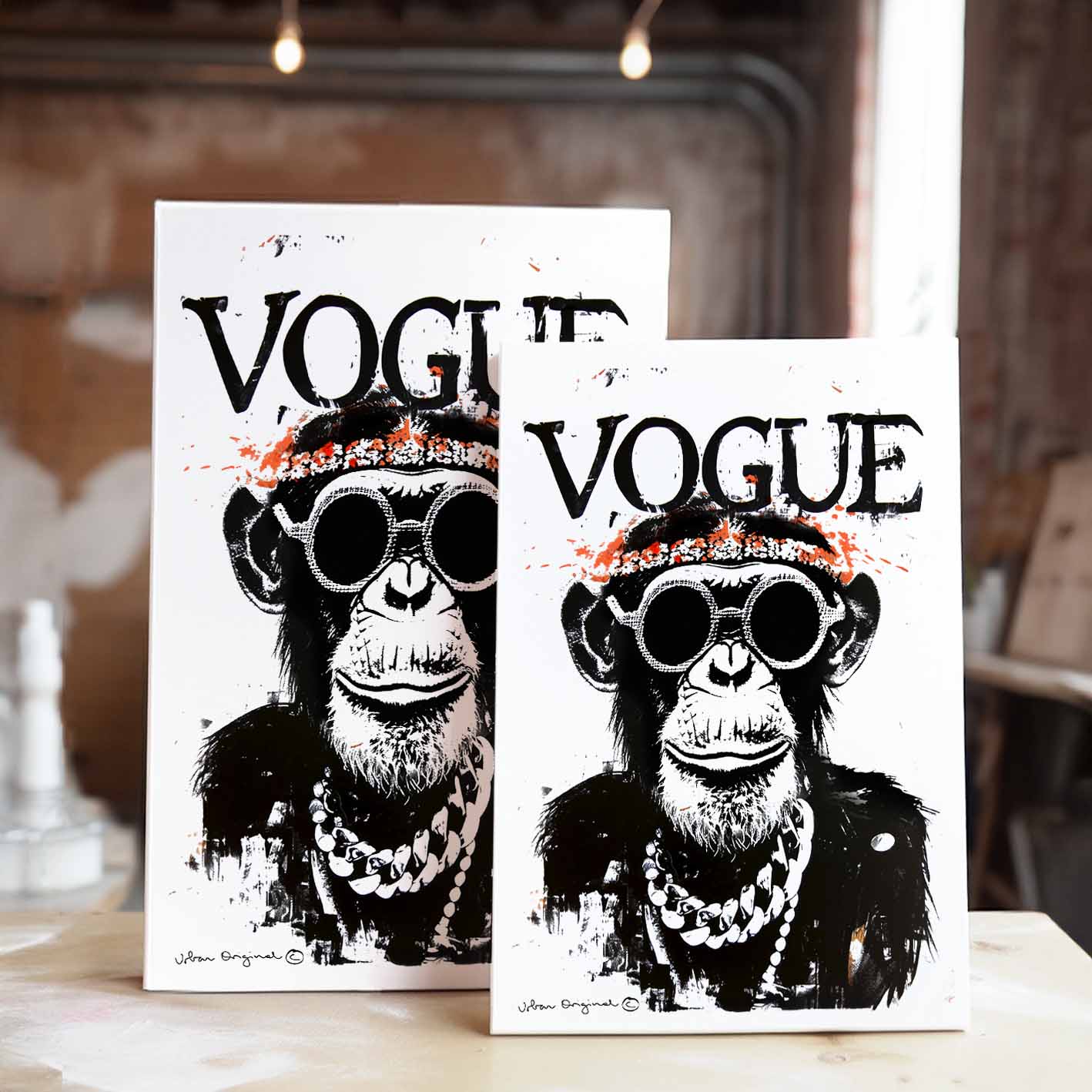 Fashion Chimp