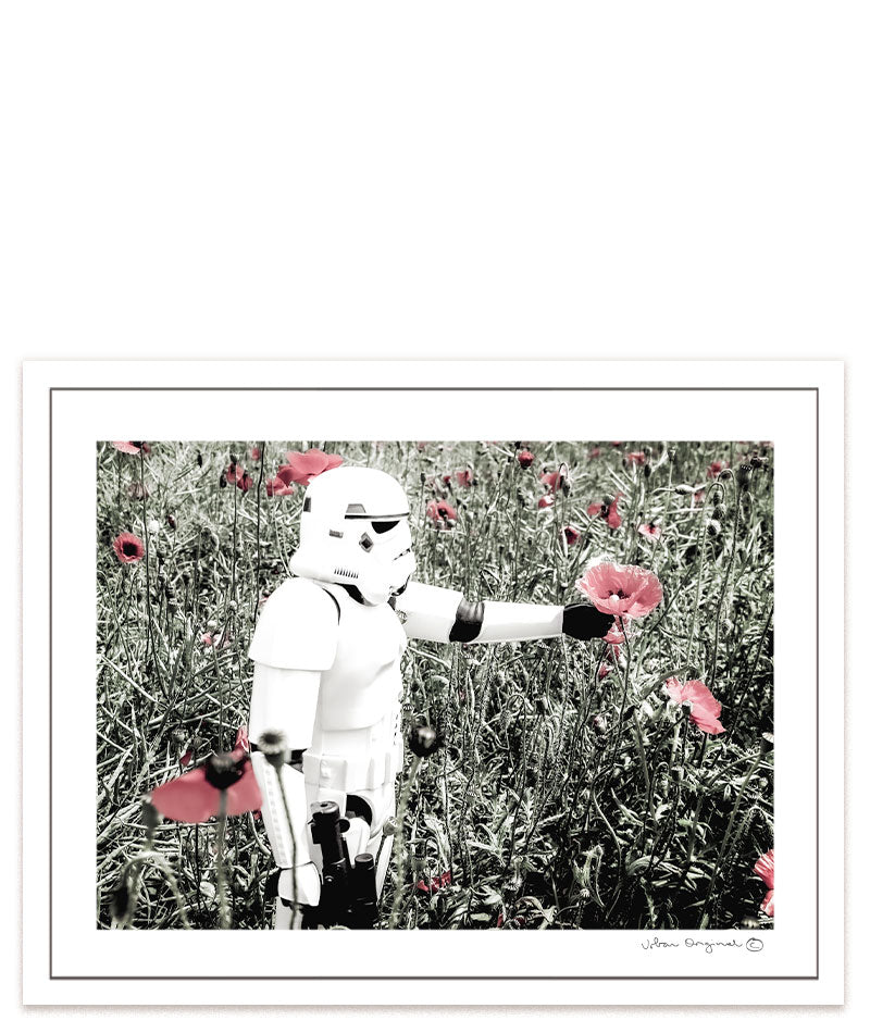 Kunstdruck "Real Poppy" - Eine einzigartige Interpretation der Star Wars Welt. #A4 = 28x20 cm_exclude-this-tag